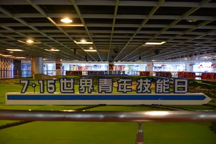 技能筑夢 青春飛揚(yáng)——我市成功舉辦世界青年技能日系列宣傳活動(dòng)成果展